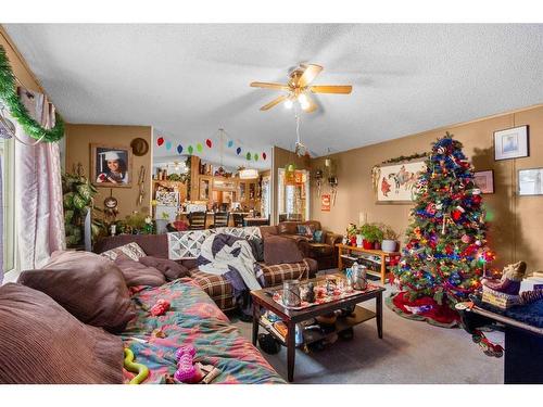 28370 Township Road 304, Rural Mountain View County, AB - Indoor Photo Showing Living Room