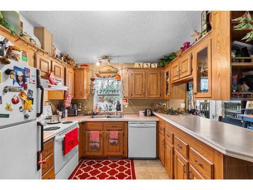 28370 Township Road 304, Rural Mountain View County, AB - Indoor Photo Showing Kitchen With Double Sink