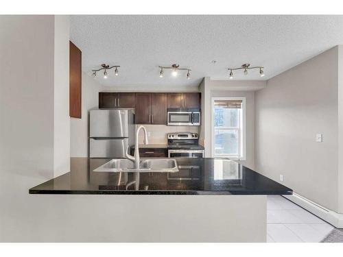 201-195 Kincora Glen Road Nw, Calgary, AB - Indoor Photo Showing Kitchen With Stainless Steel Kitchen With Double Sink