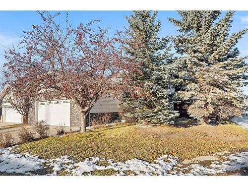 2 Edmund Way Se, Airdrie, AB - Outdoor