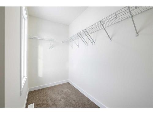 517 Clearwater Heath, Chestermere, AB - Indoor With Storage