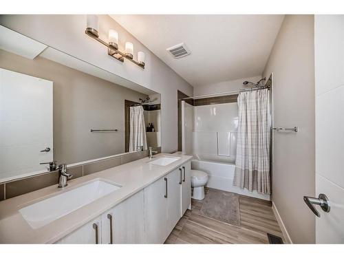 67 Sage Meadows Circle Nw, Calgary, AB - Indoor Photo Showing Bathroom