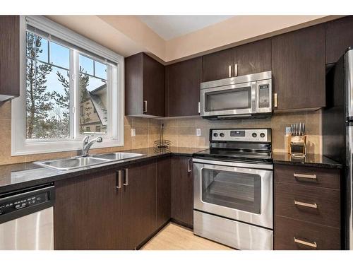 513-121 Copperpond Common Se, Calgary, AB - Indoor Photo Showing Kitchen With Double Sink