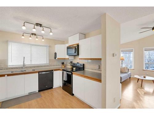 213 Harvest Gold Circle Ne, Calgary, AB - Indoor Photo Showing Kitchen With Double Sink