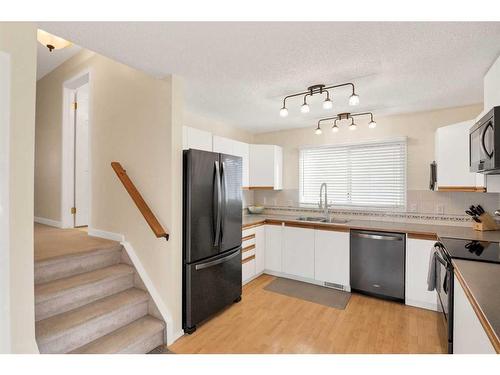 213 Harvest Gold Circle Ne, Calgary, AB - Indoor Photo Showing Kitchen With Double Sink