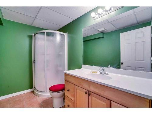 65 Saddleback Road Ne, Calgary, AB - Indoor Photo Showing Bathroom