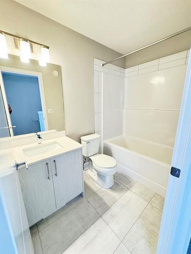 132 Skyview Ranch Circle Ne, Calgary, AB - Indoor Photo Showing Bathroom