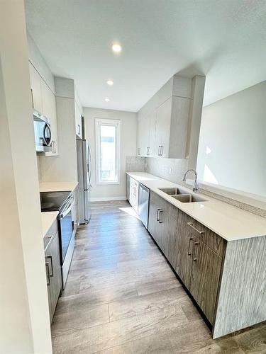 132 Skyview Ranch Circle Ne, Calgary, AB - Indoor Photo Showing Kitchen With Double Sink