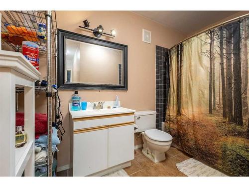 35 Applefield Close Se, Calgary, AB - Indoor Photo Showing Bathroom