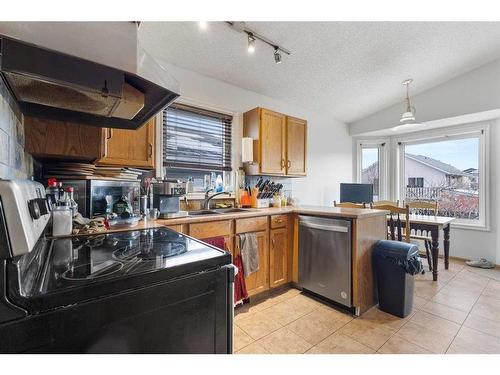 35 Applefield Close Se, Calgary, AB - Indoor Photo Showing Kitchen With Double Sink