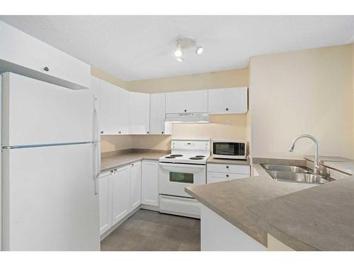 1113-4975 130 Avenue Se, Calgary, AB - Indoor Photo Showing Kitchen With Double Sink