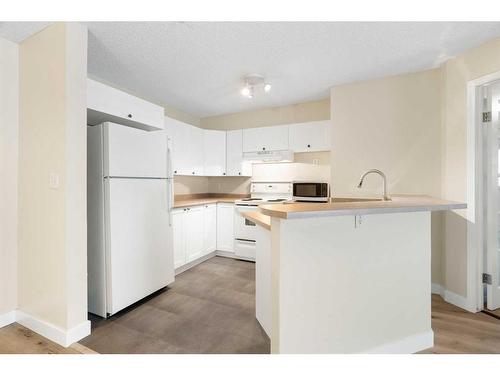 1113-4975 130 Avenue Se, Calgary, AB - Indoor Photo Showing Kitchen