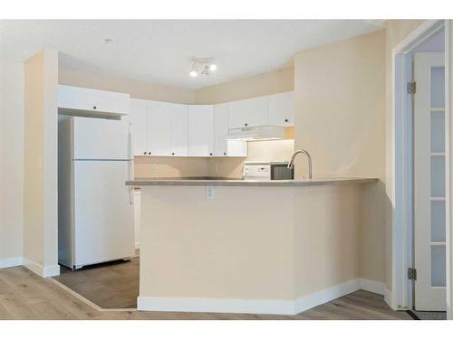 1113-4975 130 Avenue Se, Calgary, AB - Indoor Photo Showing Kitchen