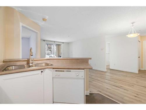 1113-4975 130 Avenue Se, Calgary, AB - Indoor Photo Showing Kitchen With Double Sink