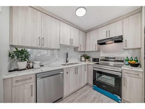 6-4503 75 Street Nw, Calgary, AB - Indoor Photo Showing Kitchen With Double Sink