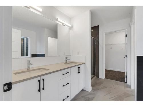 242 Baneberry Way Sw, Airdrie, AB - Indoor Photo Showing Bathroom