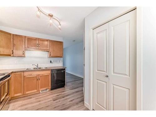 265 Saddlebrook Point Ne, Calgary, AB - Indoor Photo Showing Kitchen With Double Sink