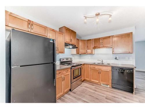 265 Saddlebrook Point Ne, Calgary, AB - Indoor Photo Showing Kitchen With Double Sink