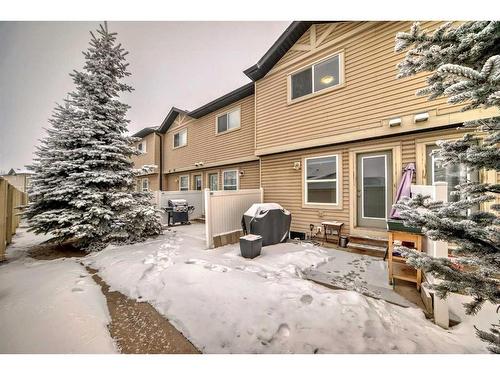 265 Saddlebrook Point Ne, Calgary, AB - Outdoor