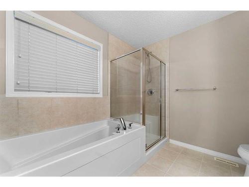 355 Walden Mews Se, Calgary, AB - Indoor Photo Showing Bathroom