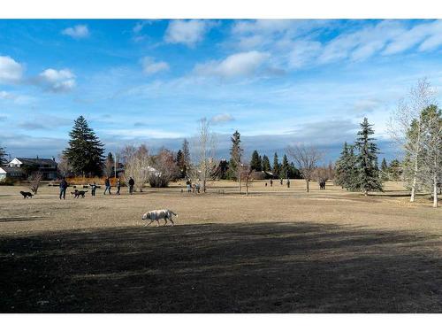 1741 48 Avenue Sw, Calgary, AB - Outdoor With View