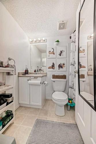 1130-8 Bridlecrest Drive Sw, Calgary, AB - Indoor Photo Showing Bathroom