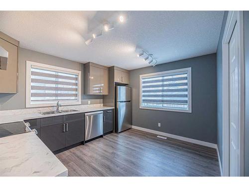 203 Falshire Way Ne, Calgary, AB - Indoor Photo Showing Kitchen With Stainless Steel Kitchen With Double Sink