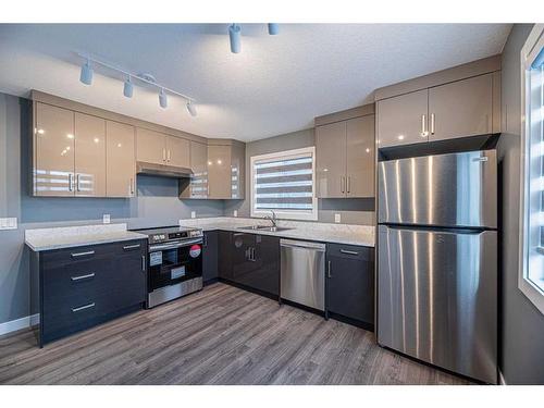 203 Falshire Way Ne, Calgary, AB - Indoor Photo Showing Kitchen With Stainless Steel Kitchen With Double Sink