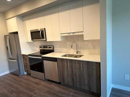 209-1605 17 Street Se, Calgary, AB - Indoor Photo Showing Kitchen With Stainless Steel Kitchen With Double Sink