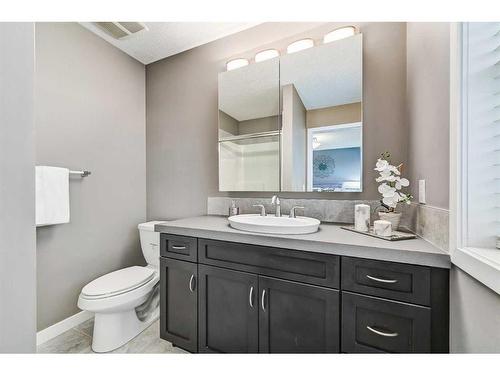 61 Skyview Springs Crescent Ne, Calgary, AB - Indoor Photo Showing Bathroom