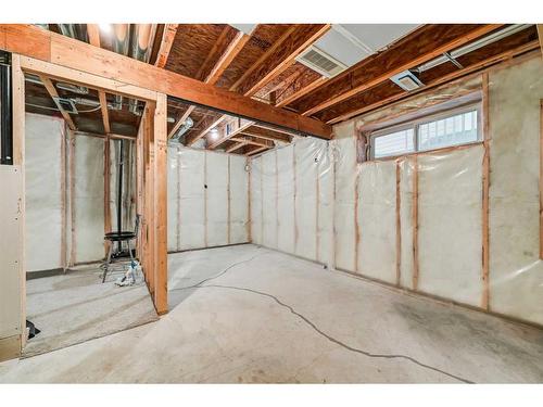 61 Skyview Springs Crescent Ne, Calgary, AB - Indoor Photo Showing Basement