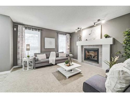 61 Skyview Springs Crescent Ne, Calgary, AB - Indoor Photo Showing Living Room With Fireplace