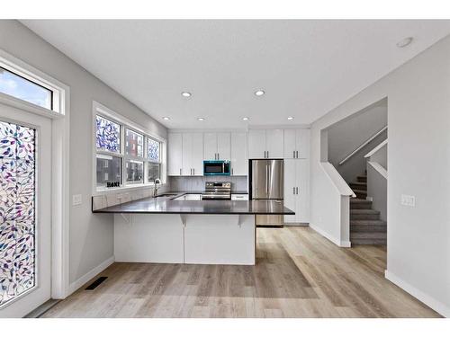 76 Skyview Point Crescent Ne, Calgary, AB - Indoor Photo Showing Kitchen