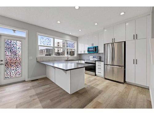 76 Skyview Point Crescent Ne, Calgary, AB - Indoor Photo Showing Kitchen With Stainless Steel Kitchen With Upgraded Kitchen