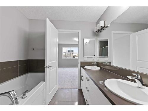 76 Skyview Point Crescent Ne, Calgary, AB - Indoor Photo Showing Bathroom