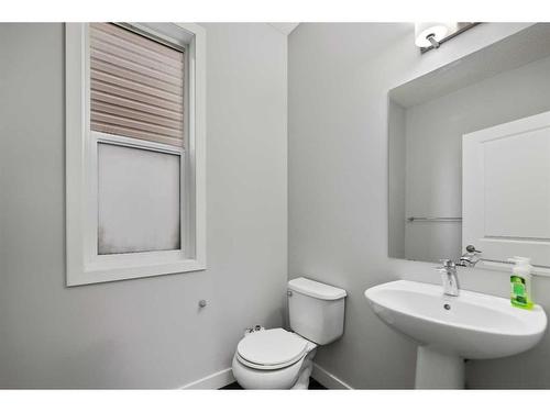 76 Skyview Point Crescent Ne, Calgary, AB - Indoor Photo Showing Bathroom