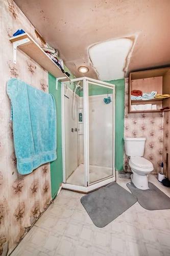 2622 42 Street Se, Calgary, AB - Indoor Photo Showing Bathroom