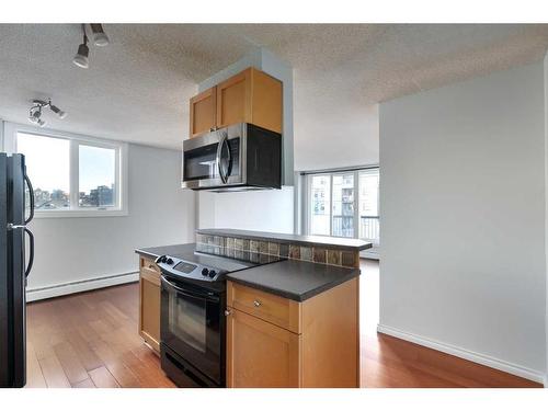 502-1312 13 Avenue Sw, Calgary, AB - Indoor Photo Showing Kitchen