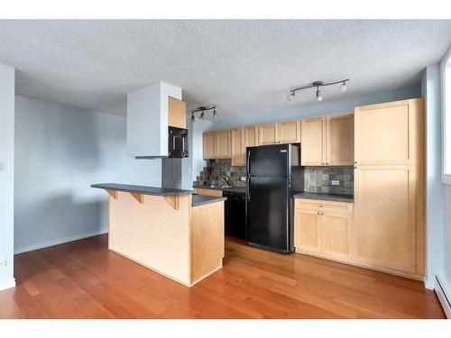 502-1312 13 Avenue Sw, Calgary, AB - Indoor Photo Showing Kitchen