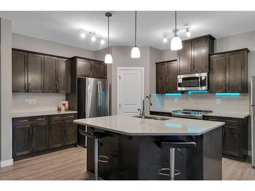 247 Kinniburgh Road, Chestermere, AB - Indoor Photo Showing Kitchen With Stainless Steel Kitchen With Upgraded Kitchen