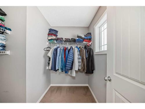 453 Copperpond Landing Se, Calgary, AB - Indoor With Storage