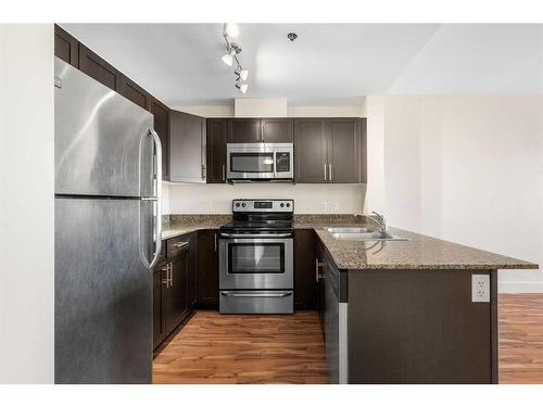 319-955 Mcpherson Road Ne, Calgary, AB - Indoor Photo Showing Kitchen With Stainless Steel Kitchen With Double Sink