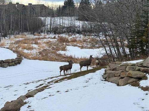 255161 Bearspaw Road, Rural Rocky View County, AB - Outdoor With View