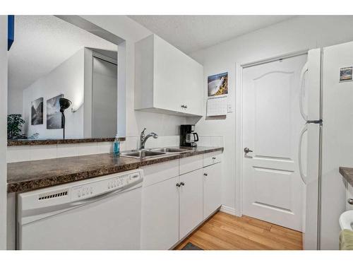 3213-13045 6 Street Sw, Calgary, AB - Indoor Photo Showing Kitchen With Double Sink