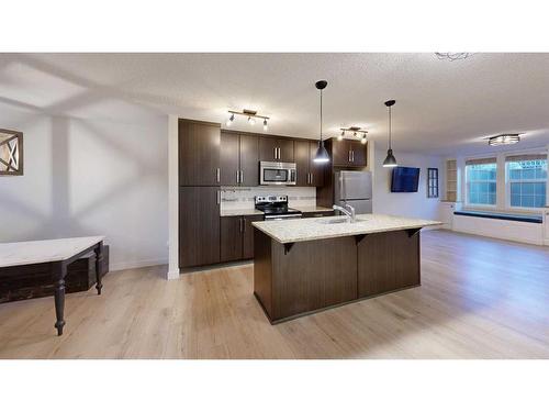 218 Mackenzie Towne Close Close Se, Calgary, AB - Indoor Photo Showing Kitchen With Double Sink