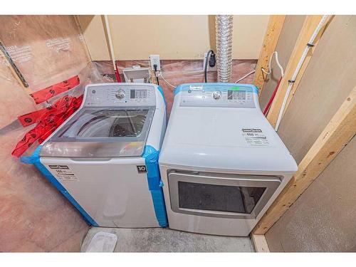 36-111 Tarawood Lane Ne, Calgary, AB - Indoor Photo Showing Laundry Room