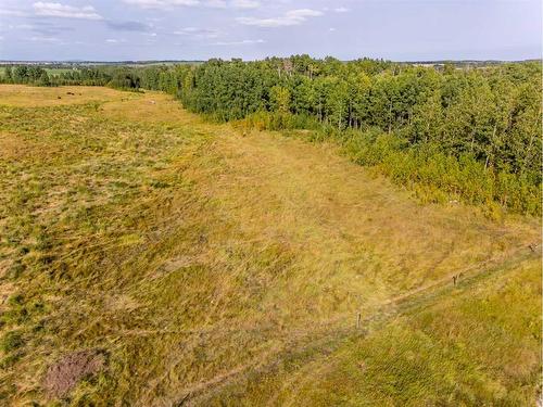 40 Acres Range Road 44, Rural Mountain View County, AB 