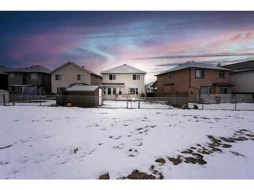 105 Taralea Green Ne, Calgary, AB - Outdoor