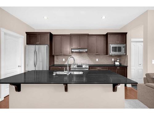 223 Skyview Point Road Ne, Calgary, AB - Indoor Photo Showing Kitchen With Double Sink