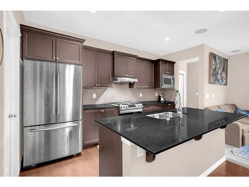 223 Skyview Point Road Ne, Calgary, AB - Indoor Photo Showing Kitchen With Stainless Steel Kitchen With Double Sink With Upgraded Kitchen